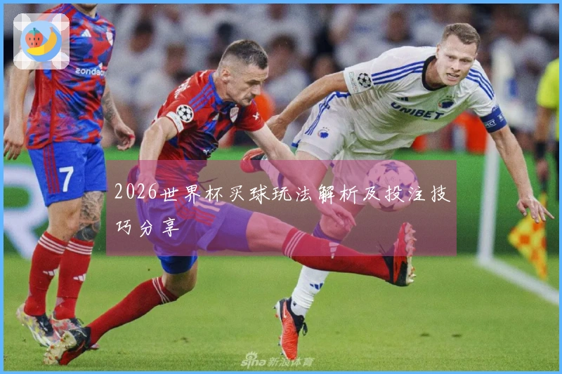 2026世界杯买球玩法解析及投注技巧分享
