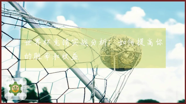 世界杯竞猜实战分析：如何提高你的胜率和收益
