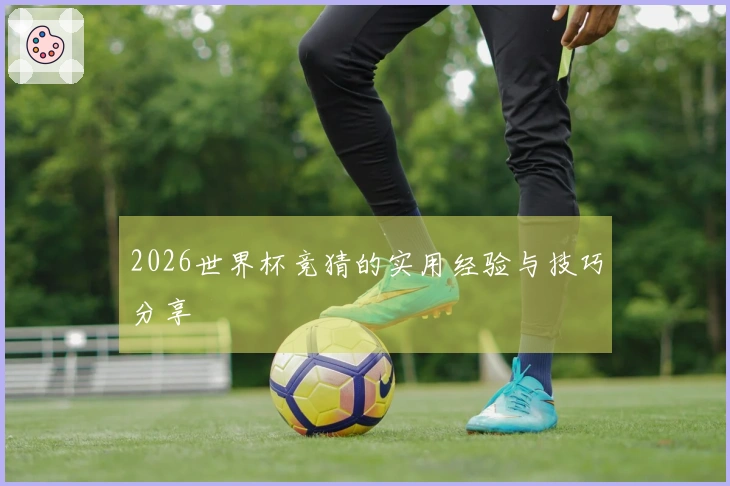 2026世界杯竞猜的实用经验与技巧分享