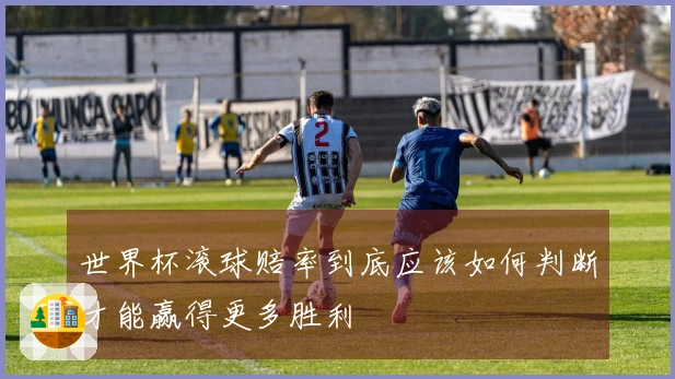 世界杯滚球赔率到底应该如何判断才能赢得更多胜利